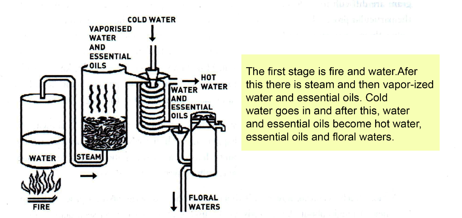 Developing-each-stage-more-fully