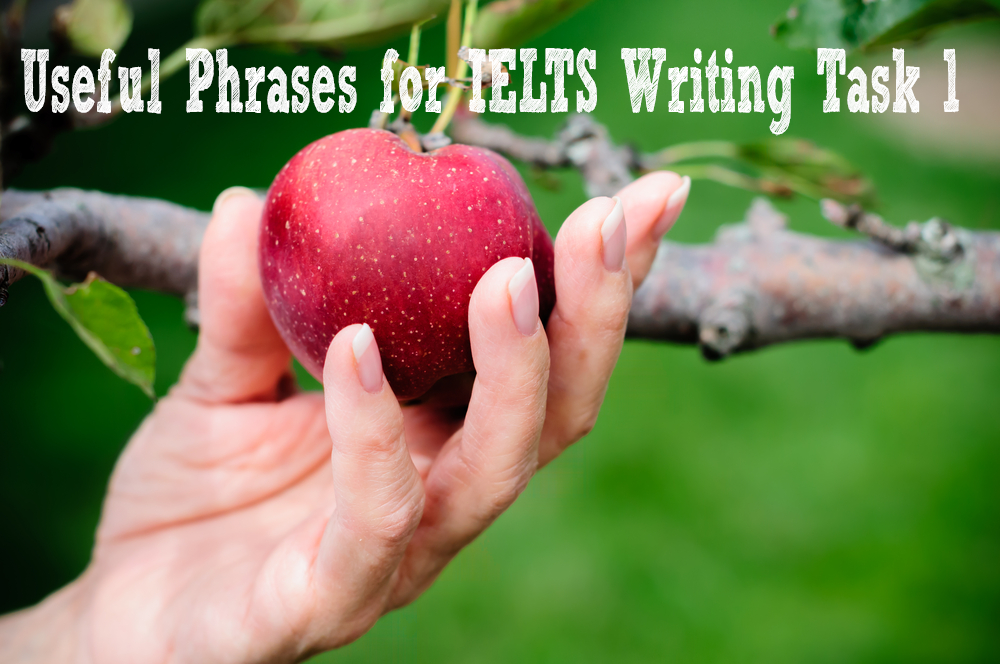 Useful-Phrases-for-IELTS-Writing