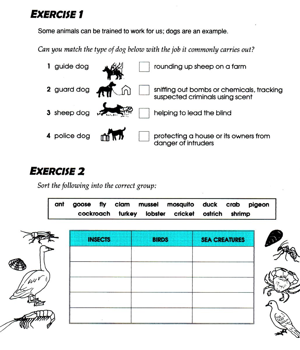 VOCABULARY-FOR-IELTS