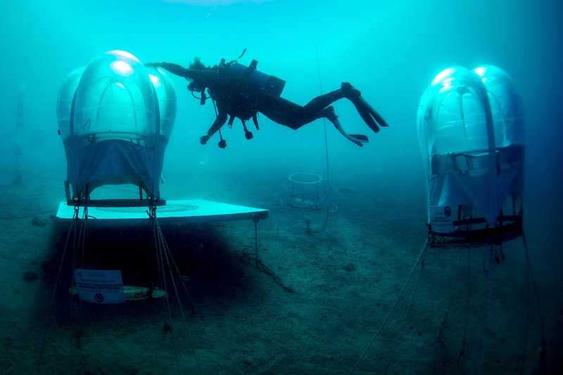 scientist-underwater