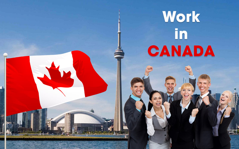 Mở ra cơ hội làm việc tại Canada.