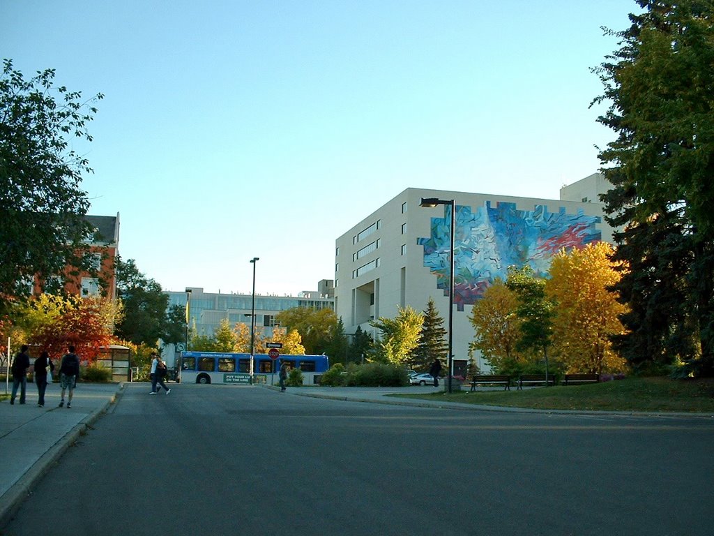 University of Alberta 